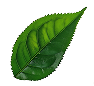 Nutribloom
